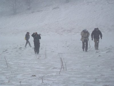 TABURNO-CAMPO DI CEPINO.jpg