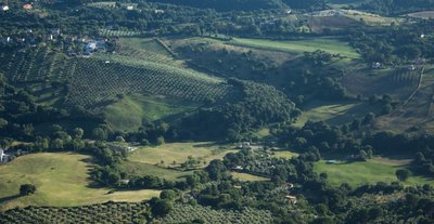 Campagna Romana (3) - Copia.jpg