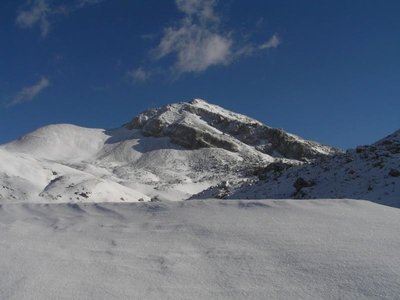 P1219599.jpg