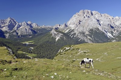 068 Verso Forcella Col di Mezzo.JPG