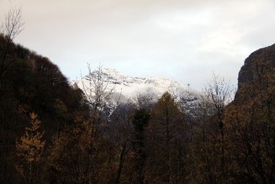 IMG_4781.JPG IMG_4781.JPG