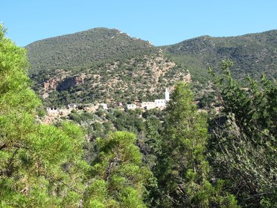 IMG_0228.JPG