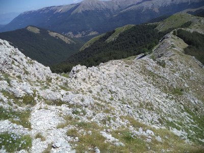 la cresta di salita al Serrone.JPG la cresta di salita al Serrone.JPG