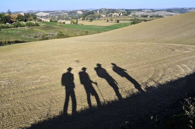 032 Verso Ponte d'Arbia.JPG