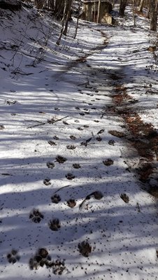 20200216_111104.jpg 20200216_111104.jpg