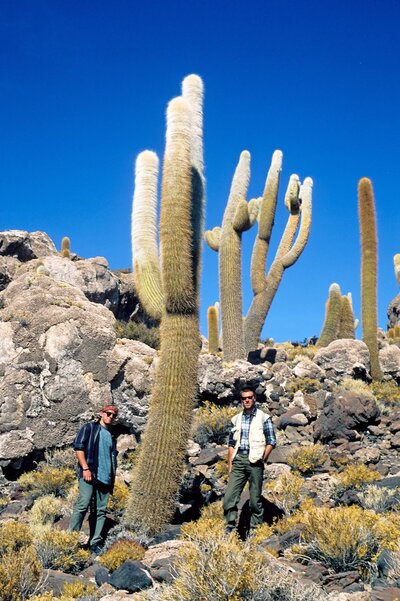 44 029 Bolivia salar di Uyuni isla dos Pescados.jpg