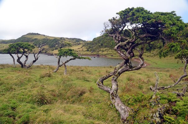 195 Lagoa do Capitao.JPG