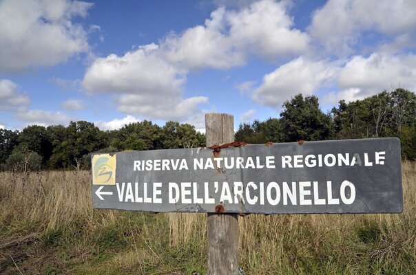 001 RIiserva Regionale Valle dell'Arcionello.JPG