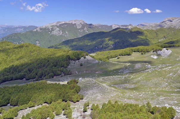 013 Rocca Altiera.JPG