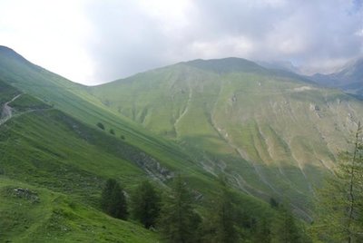 DSC_2247.jpg DSC_2247.jpg