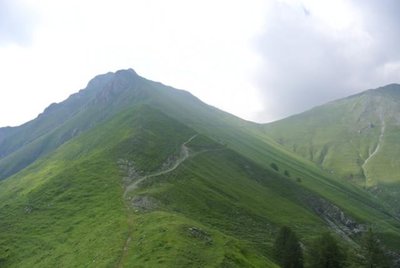 DSC_2248.jpg DSC_2248.jpg
