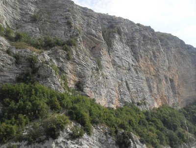 SDC18382.jpg SDC18382.jpg