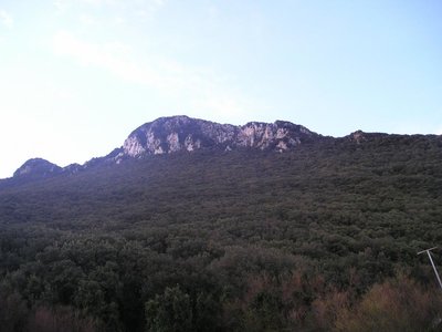 P1010070.jpg