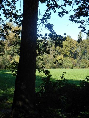 c 003.jpg c 003.jpg