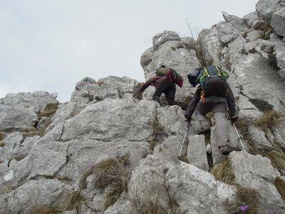 DSCN8897.jpg