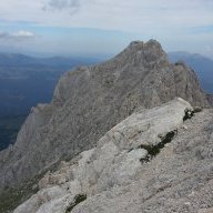 montanaro82