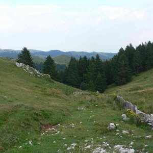Folignani 0036