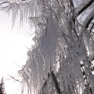 luci d'inverno