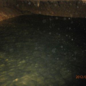 p7020075i