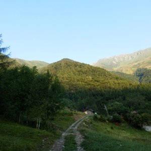 Panorama