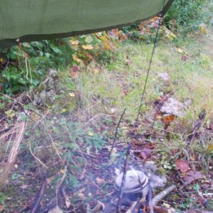 tarp-espolo