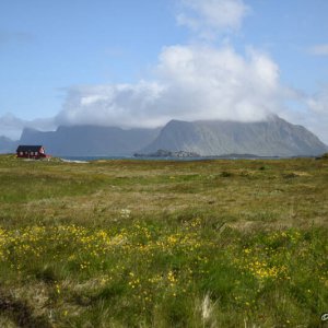 Vagando per le Lofoten