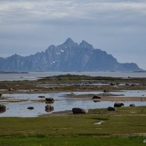 Vagando per le Lofoten