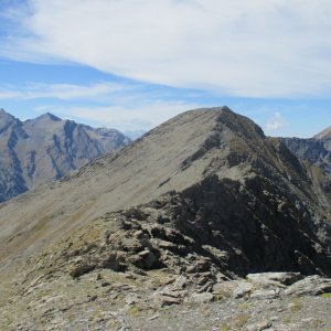 IMG_5505