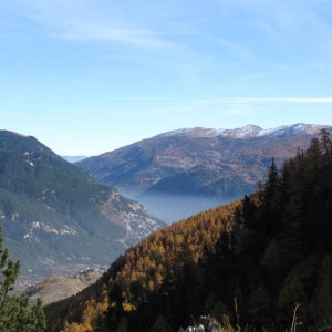 IMG 0367