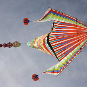 2950.jpg
