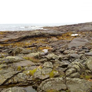 le spiagge rocciose dell'ovest...