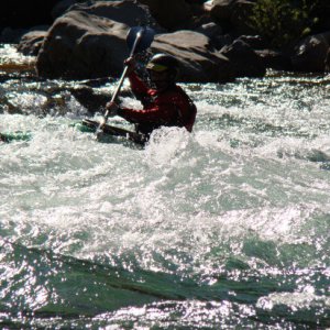 DSC02608 1