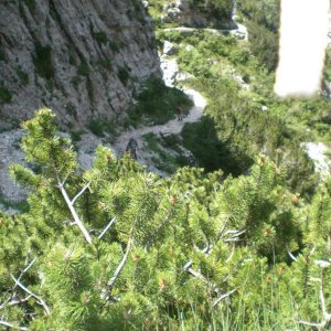 Giunti a Campobrun, sotto il sentiero appena percorso.