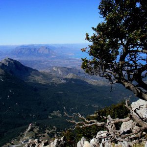La camminata lungo questo sentiero,battuto ma non segnato dalle bandierine è stata piacevole,ma per questioni di tempo dato che volevavo salire sulla cima del monte dopo alcune ore di cammino siamo tornati indietro,nel punto esatto in cui il sentiero num.2 si biforcava.
Quindi non ho idea di dove potesse portare il nostro tracciato,so solo che stava scendendo di quota,magari poi si sarebbe "riinerpicato"...