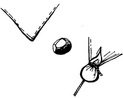 tende8.jpg