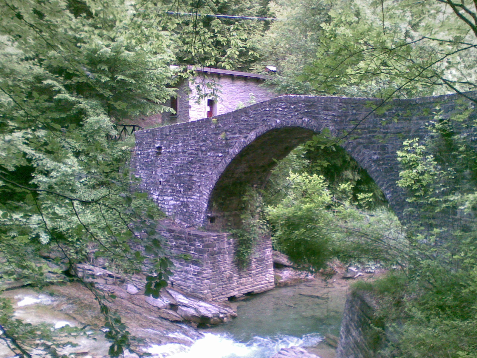 gorgolaio.jpg